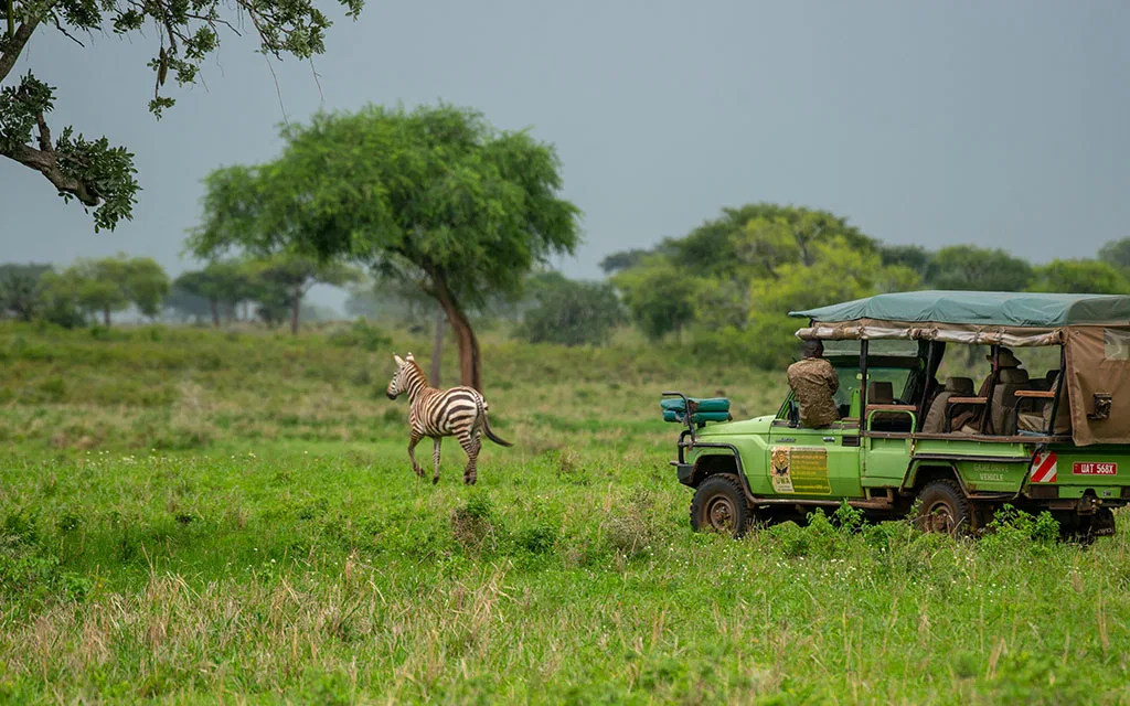 15 Days Uganda Safari Encounters