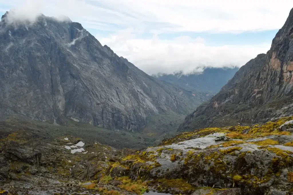 View of Mount Baker in the Rwenzori Mountains, Uganda.