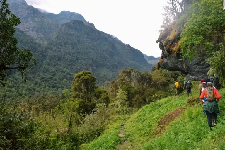 Rwenzori Mountains Uganda Hiking Adventure