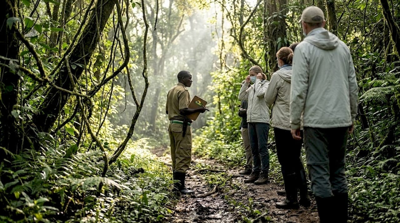 Ranger leads safari group in Bwindi forest