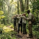 Safari guide leads chimp trek in Kibale Forest