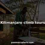 Guide preparing gear for Kilimanjaro climb tour