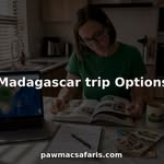 Woman planning Madagascar trip at kitchen island