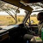 Safari guide looks over plains from jeep