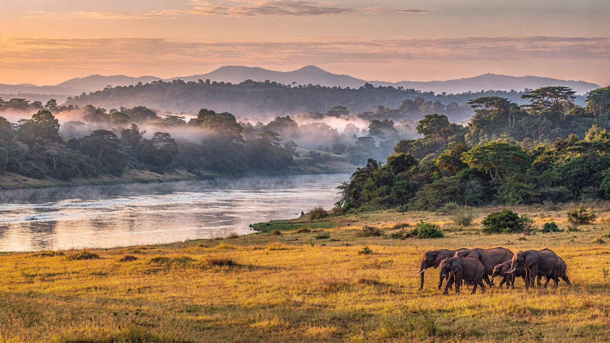 A panoramic Uganda safari landscape showing misty rainforest hills, a winding river, savanna grasslands with elephants, and distant mountains under a warm sunrise sky.