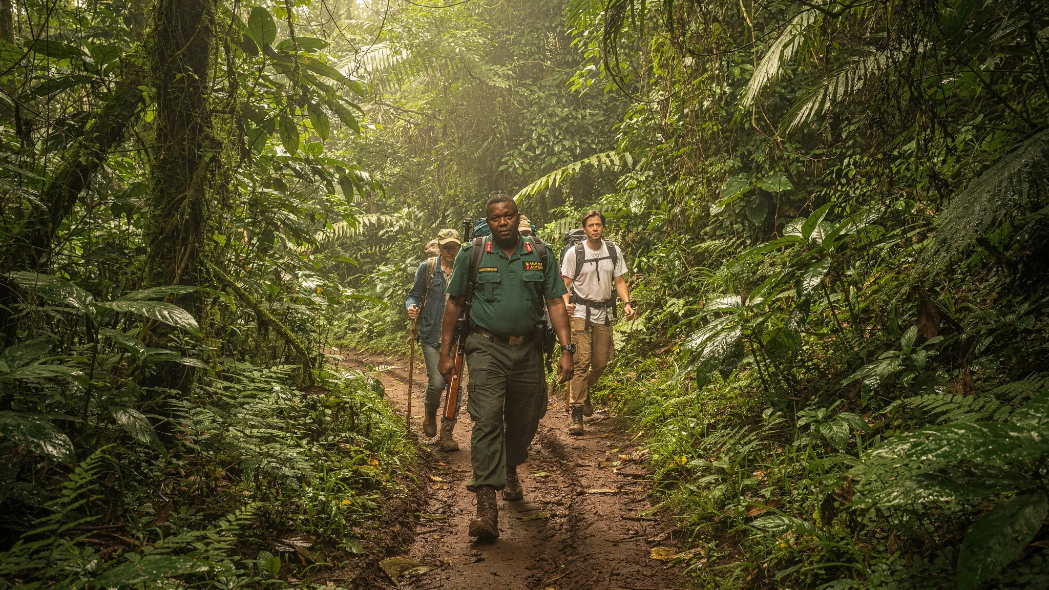 A small group of travelers follows a Uganda Wildlife Authority ranger along a narrow Bwindi forest trail, with one hiker using a walking stick and dense vegetation closing in on both sides.