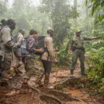 How Hard Is a Gorilla Hike Uganda Travelers Book in 2026? - Main Image