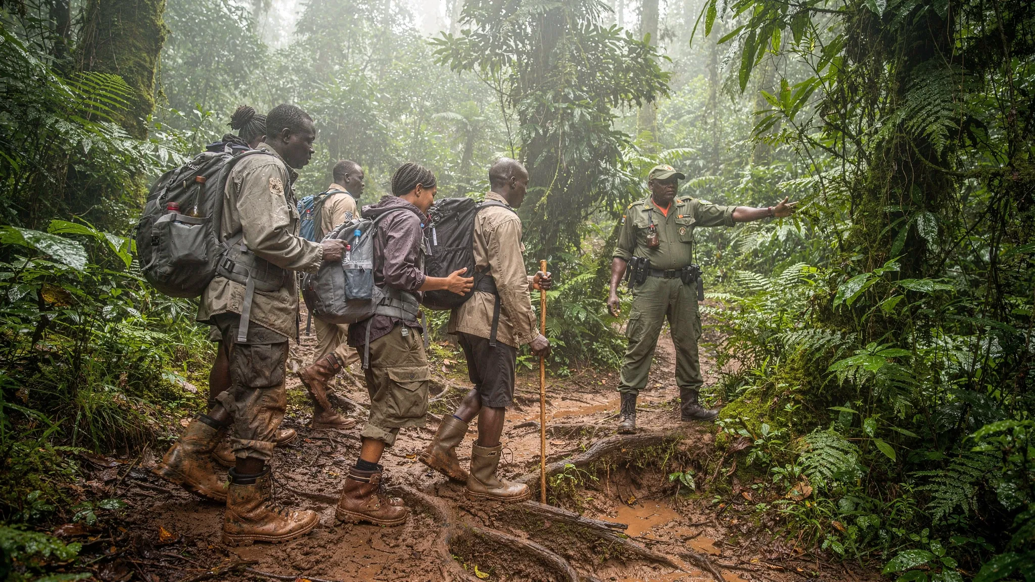 How Hard Is a Gorilla Hike Uganda Travelers Book in 2026? - Main Image