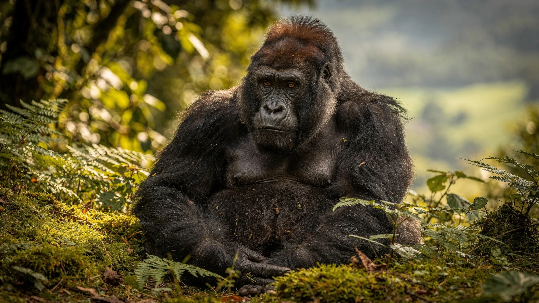 Uganda Safari Tips for First-Time Visitors in 2026 - Main Image