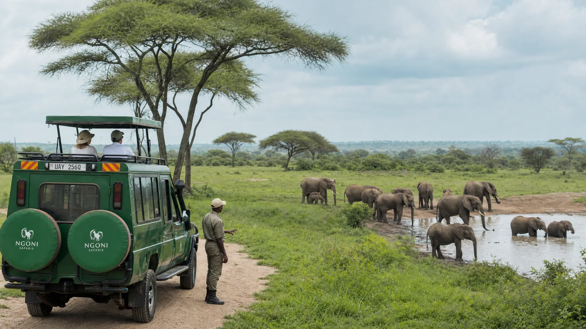 A wide Uganda savanna scene with a safari vehicle on a track, elephants near a waterhole, scattered acacia trees, and a guide standing outside the vehicle while adult travelers watch the animals from a safe distance.
