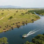 Best Guided Trips in Uganda for Wildlife and Primates - Main Image