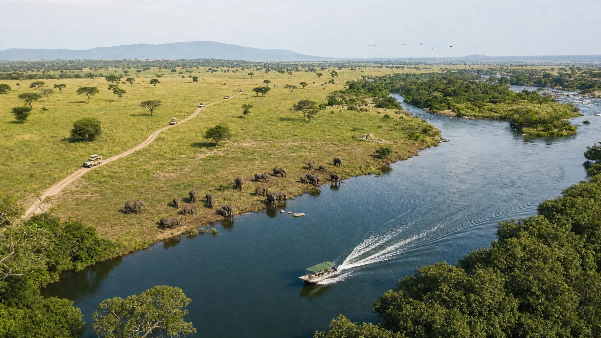 Best Guided Trips in Uganda for Wildlife and Primates - Main Image