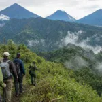 Mgahinga Gorilla Treks Explained for First-Time Travelers - Main Image