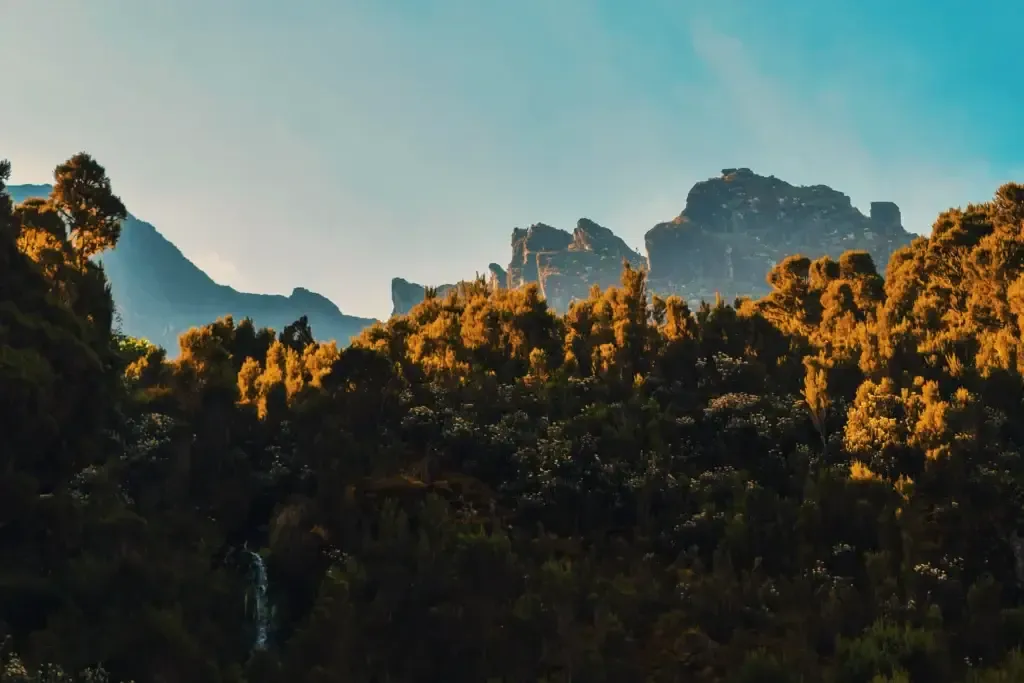 Mountain landscape of Rwenzori Mountains National Park, Uganda.