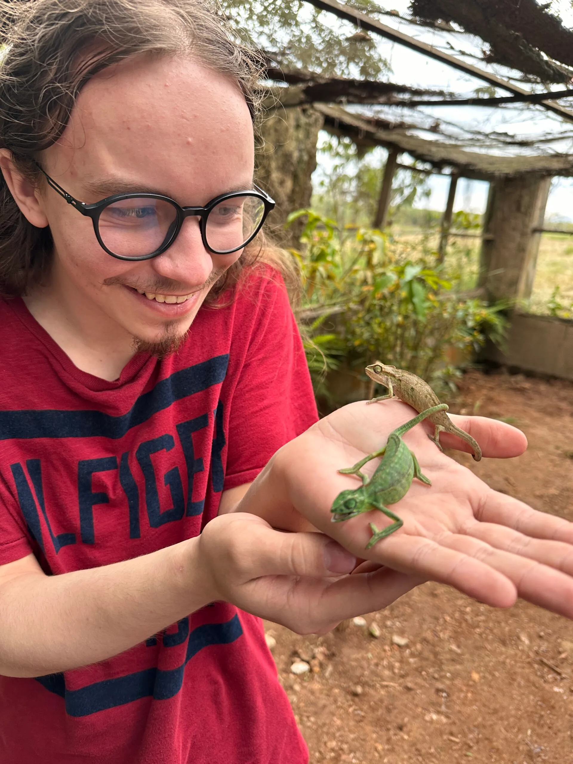 Safari guest with chameleon