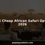 Budget safari jeep with travelers watching elephants