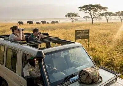 Uganda safari vehicle on savanna with elephants