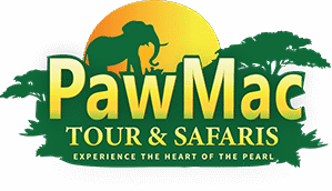 PawMac Tour & Safaris Logo