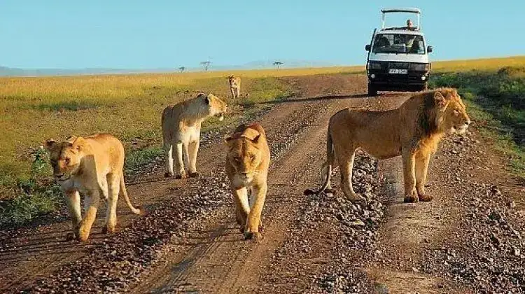 Kenya